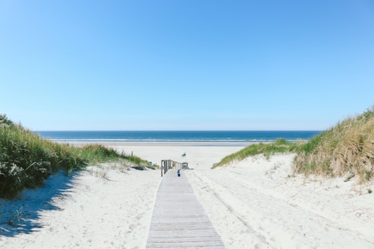 wooden dock in the beach in Juist Germany