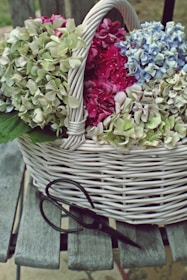 A colorful bouquet of hydrangeas arranged in a rustic basket, showcasing natural beauty.