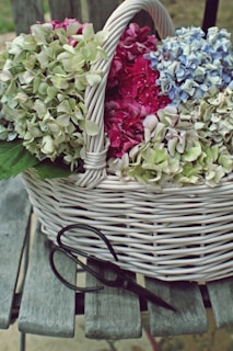 A colorful bouquet of hydrangeas arranged in a rustic basket, showcasing natural beauty.