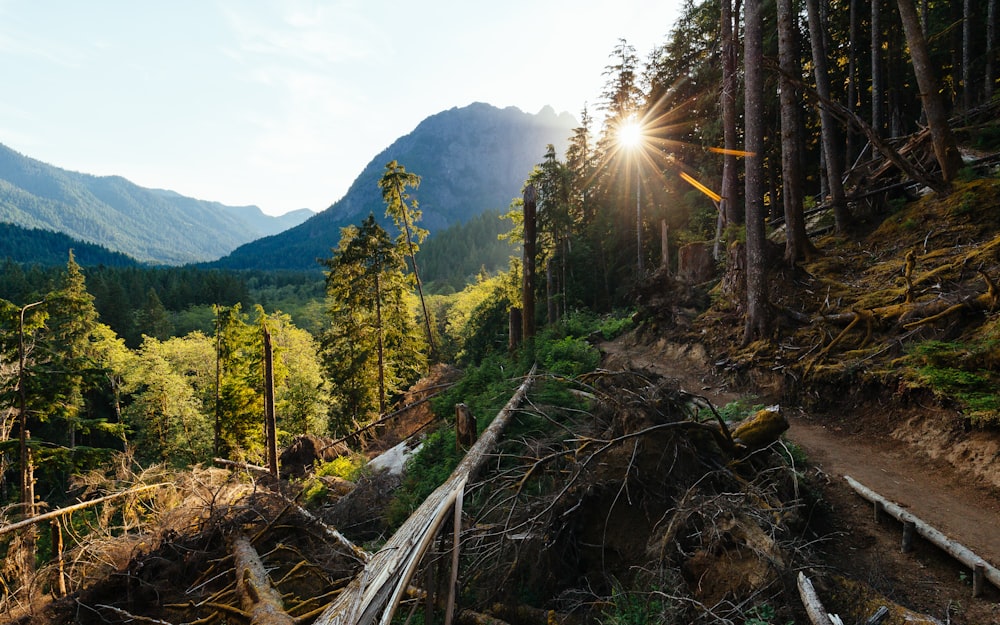 landscape photography of mountain