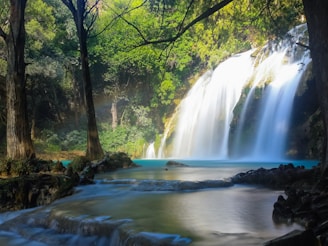 A serene waterfall cascading into a clear blue pool framed by lush green plants.