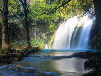 A serene waterfall cascading into a clear blue pool framed by lush green plants.