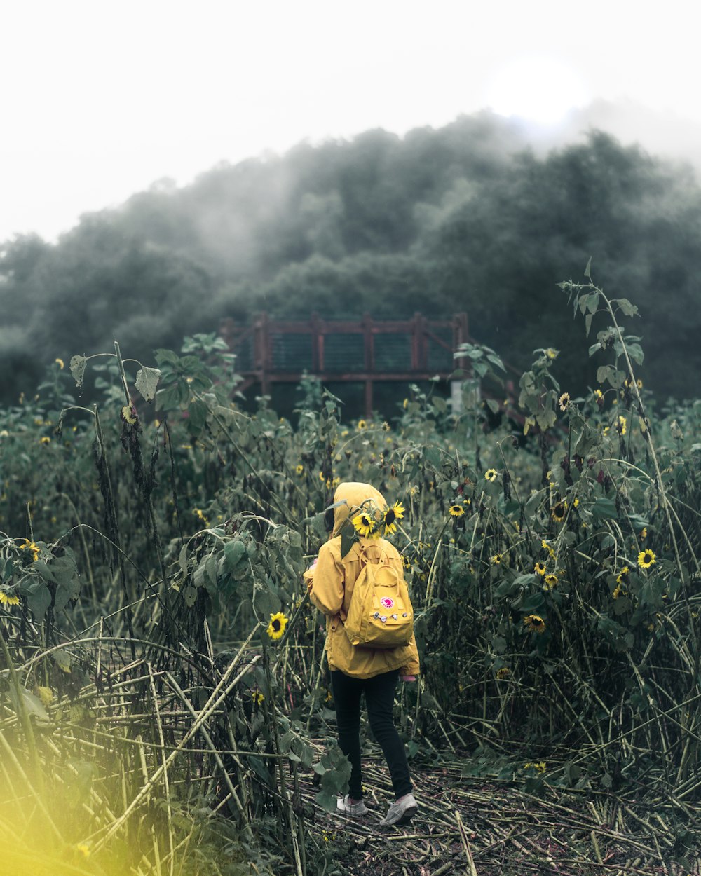 woman carrying backpack surrounded by flowers