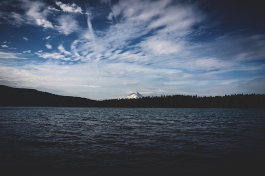 body of water in Timothy Lake United States