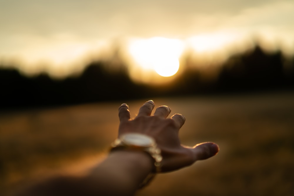 Fotografía de enfoque superficial de la mano izquierda de la persona