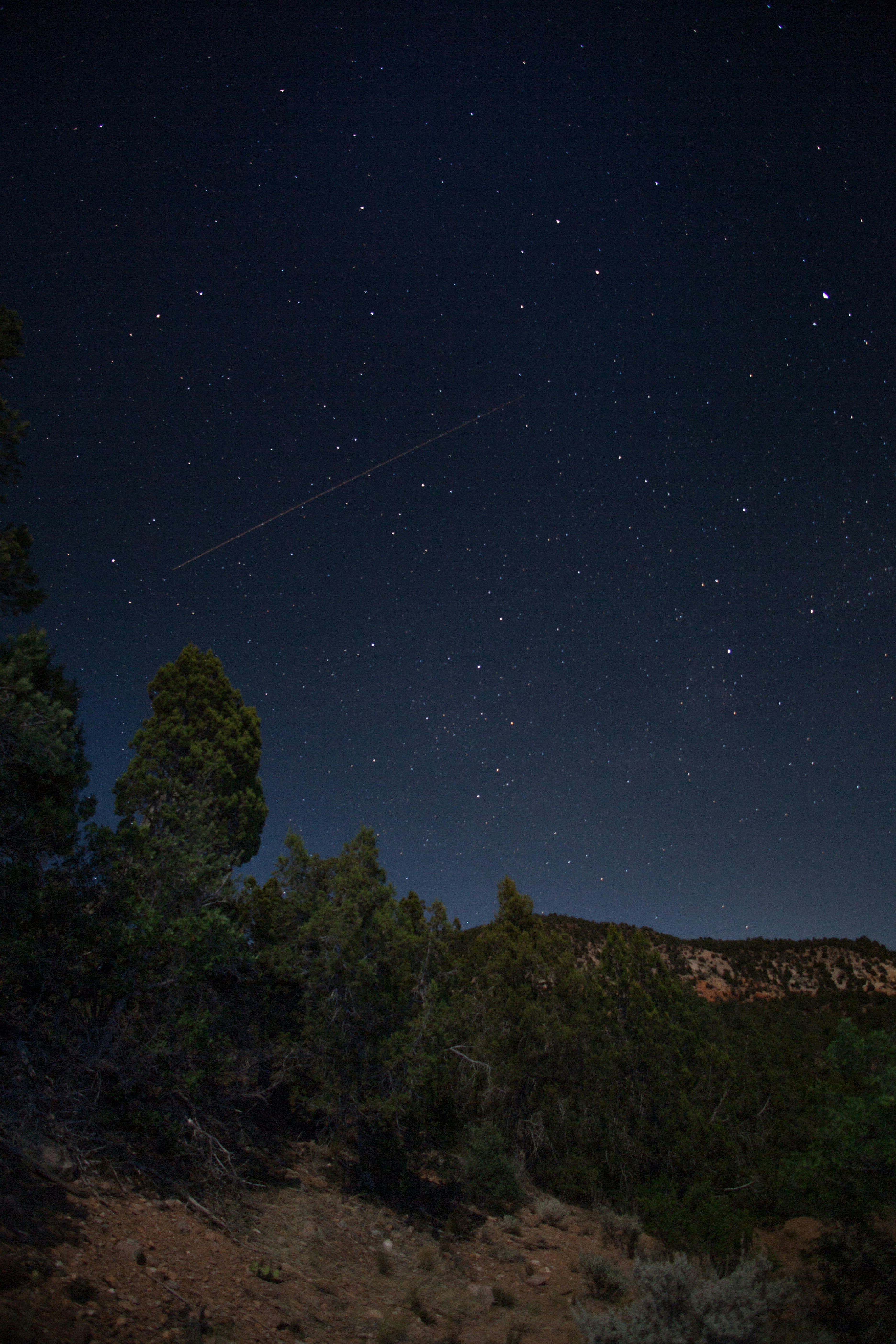 星空の下の丘の上の緑の木々の写真 Unsplashで見つけるアメリカの無料写真