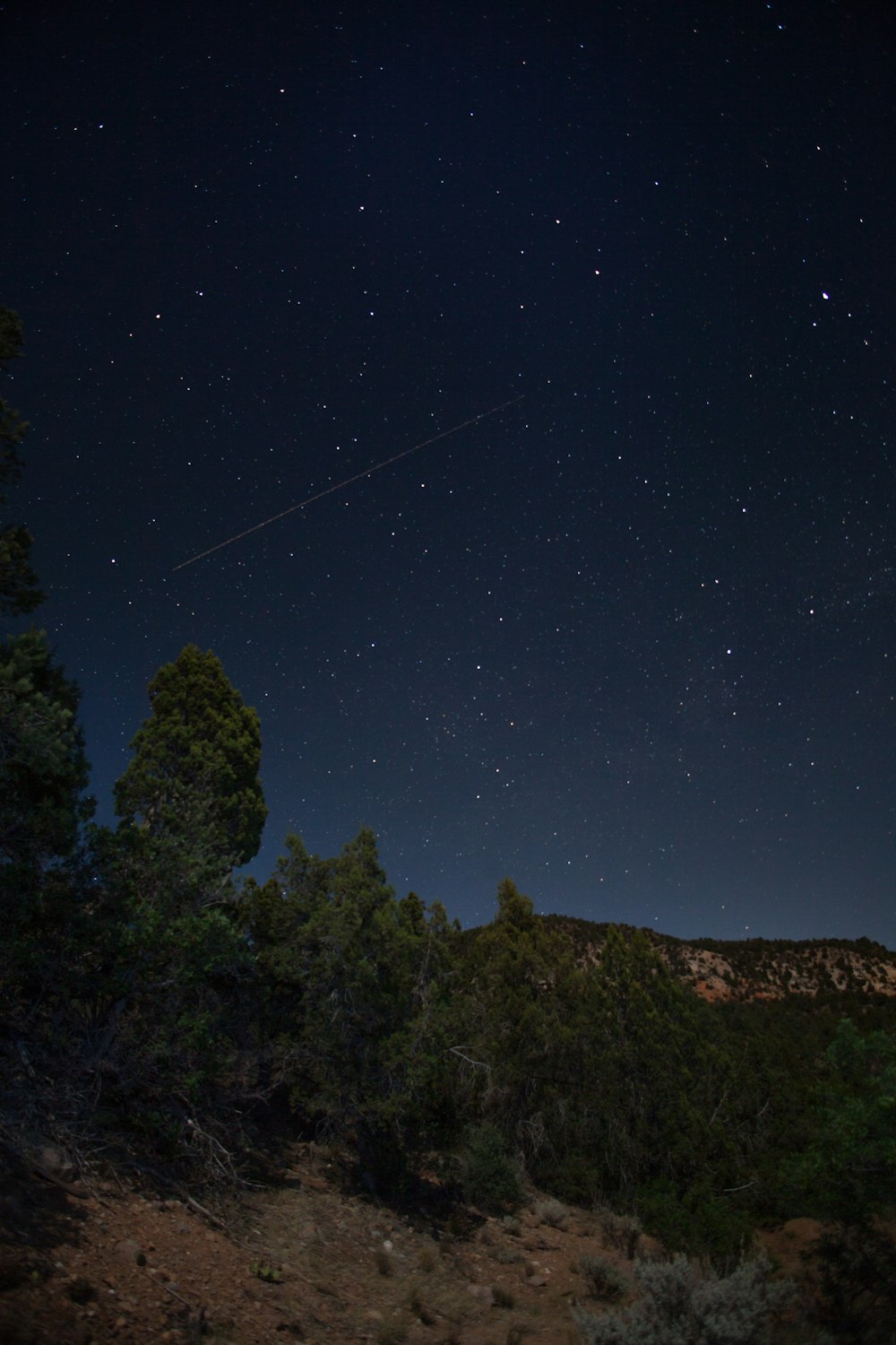 星空の下の丘の緑の木々