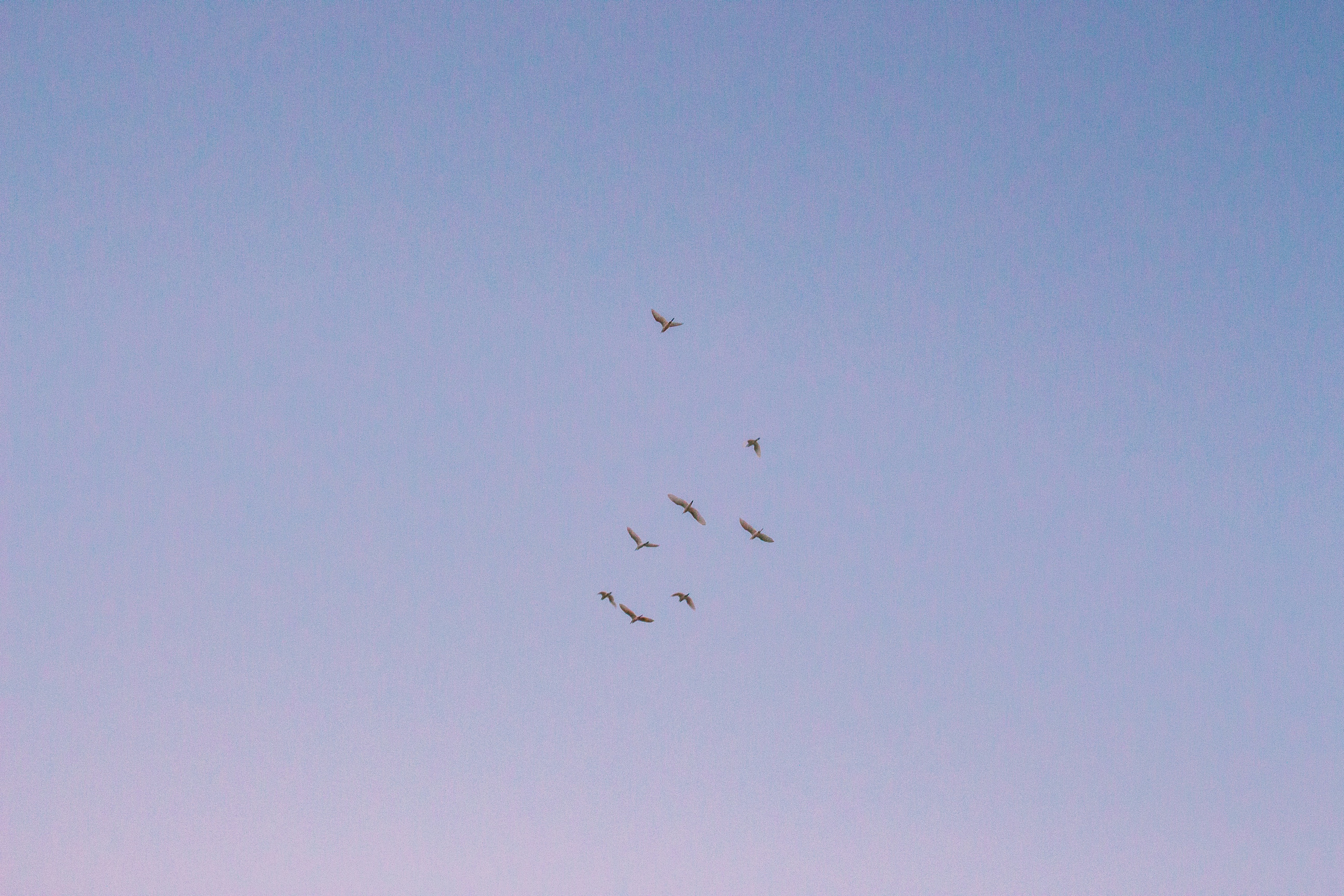 A Comprehensive Guide to LLC Formation