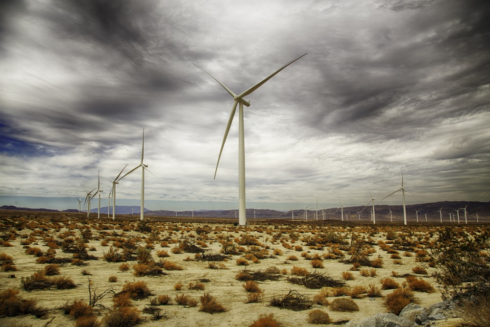 white wind mills