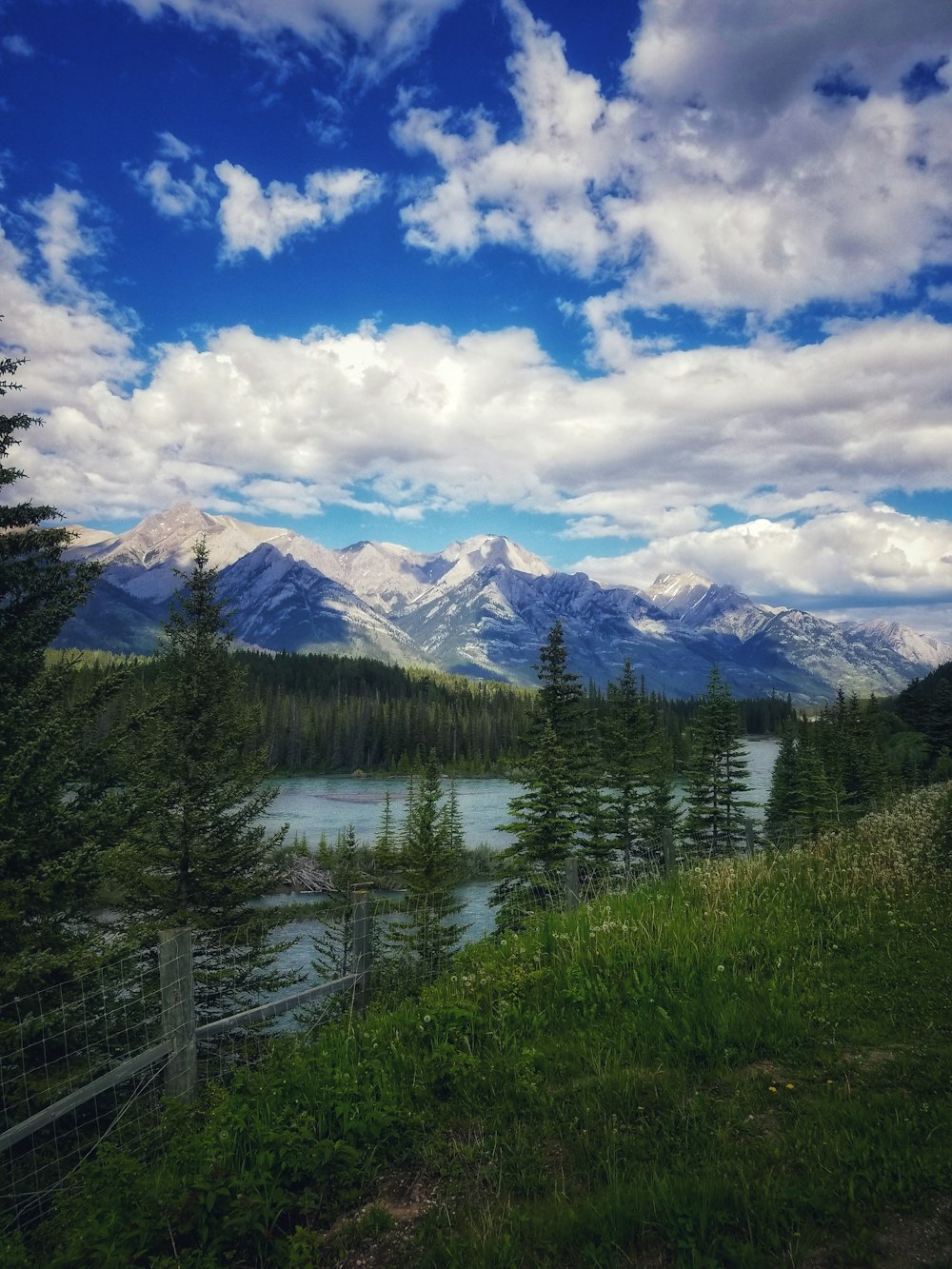 landscape photography of lake and trees