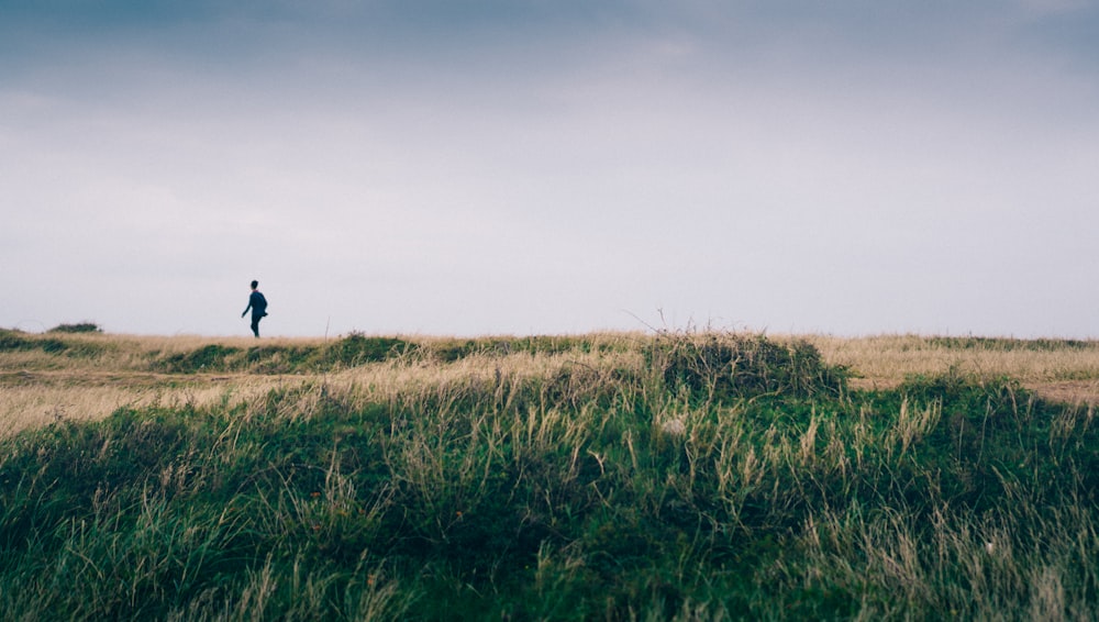 person walking on a grass plain during daytime