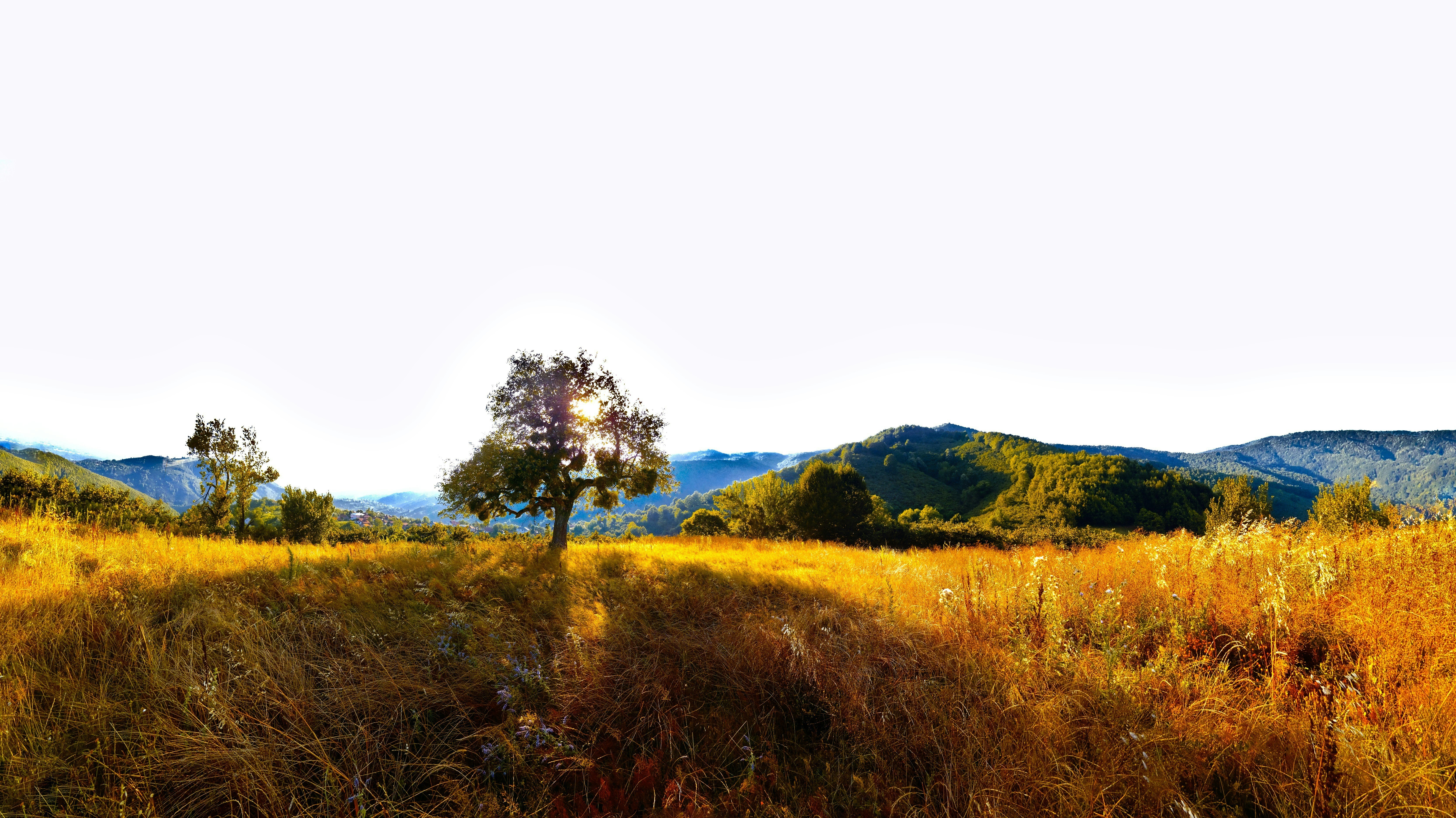 Photo by abdullahoguk