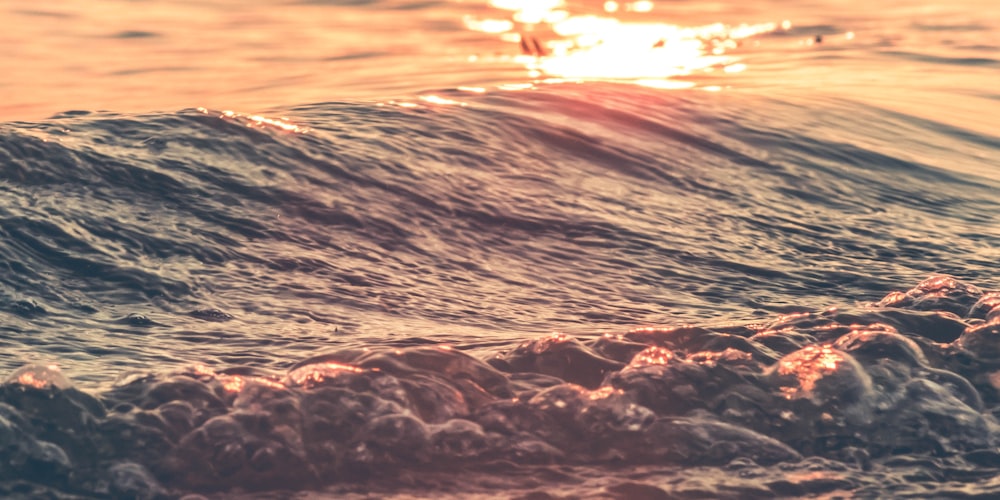 Photographie de mise au point de la vague de mer au coucher du soleil