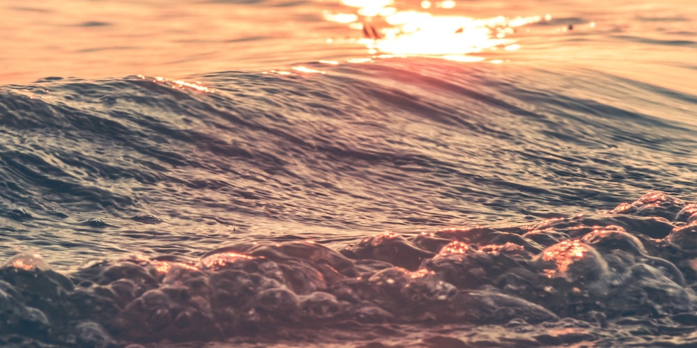 focus photography of sea wave during sunset