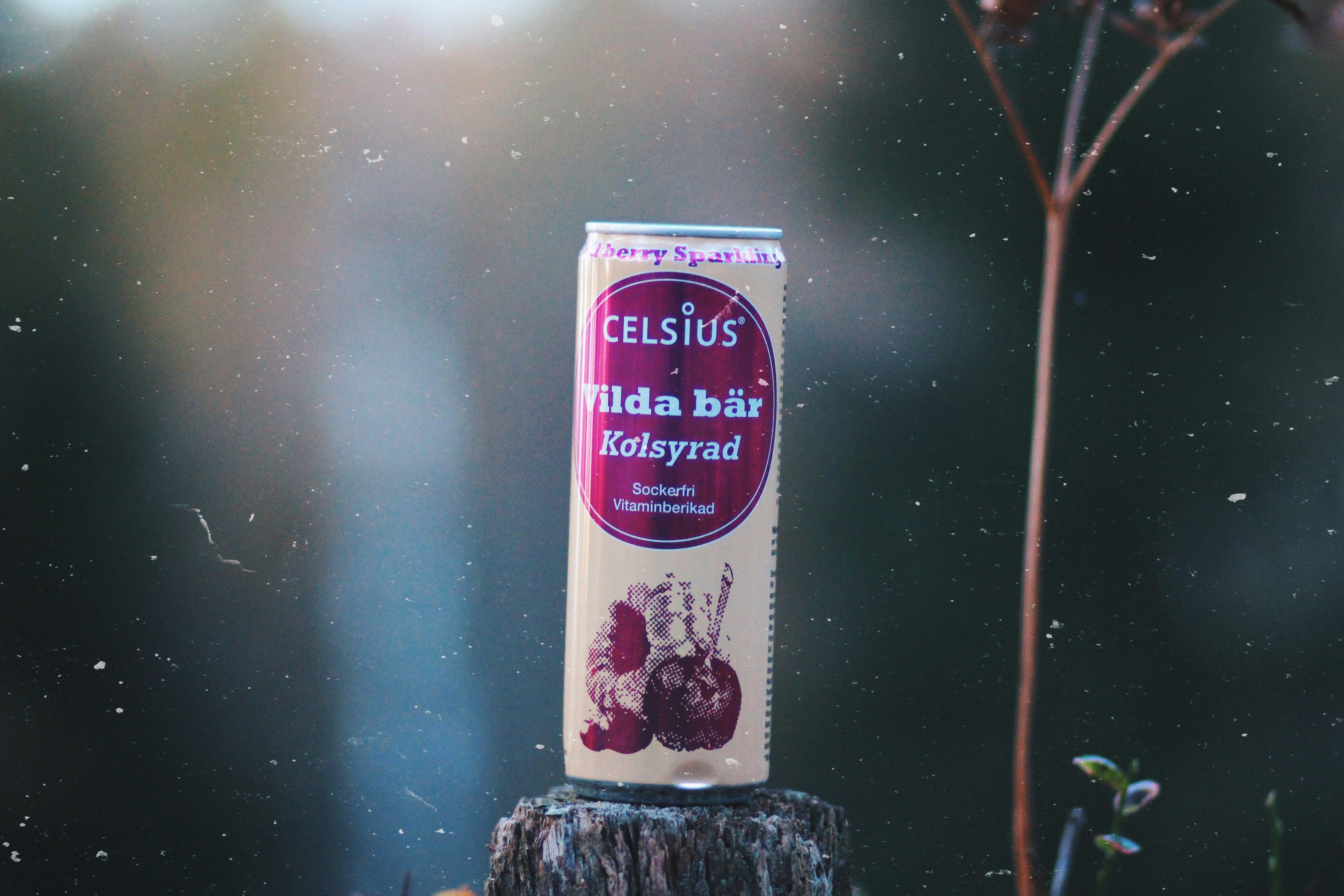 selective focus photography of Celsius Vilda Bar Kolsyrad can on black tree log