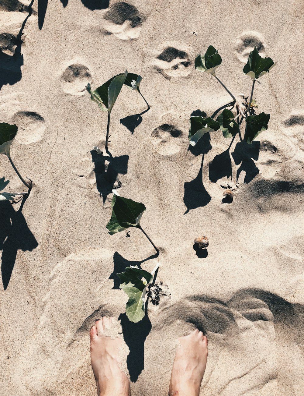 person standing on sand