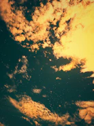 A crowd in deep reflection under a sky lit by divine light and distant stars.