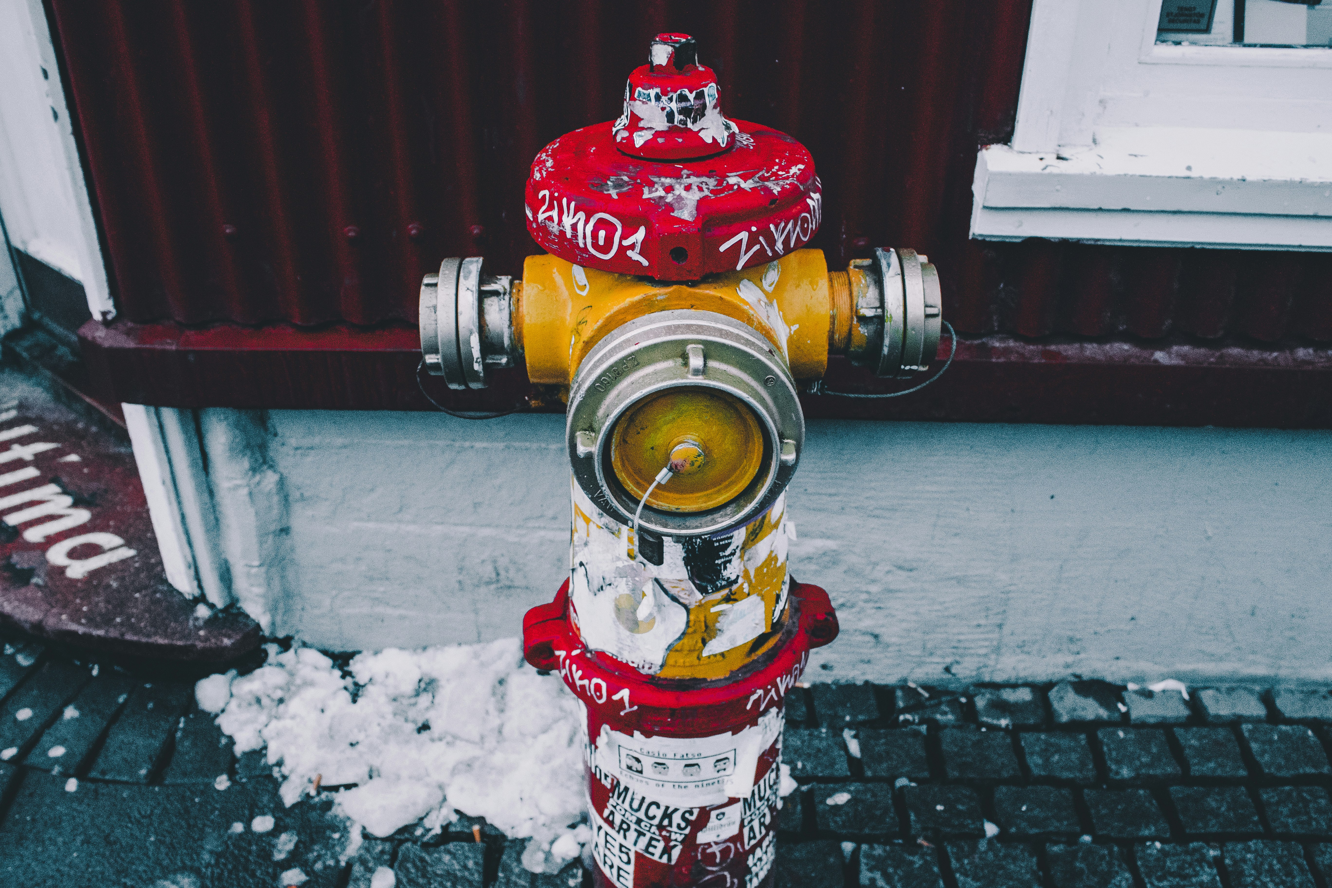shallow focus photography of yellow and red steel fire hydrant
