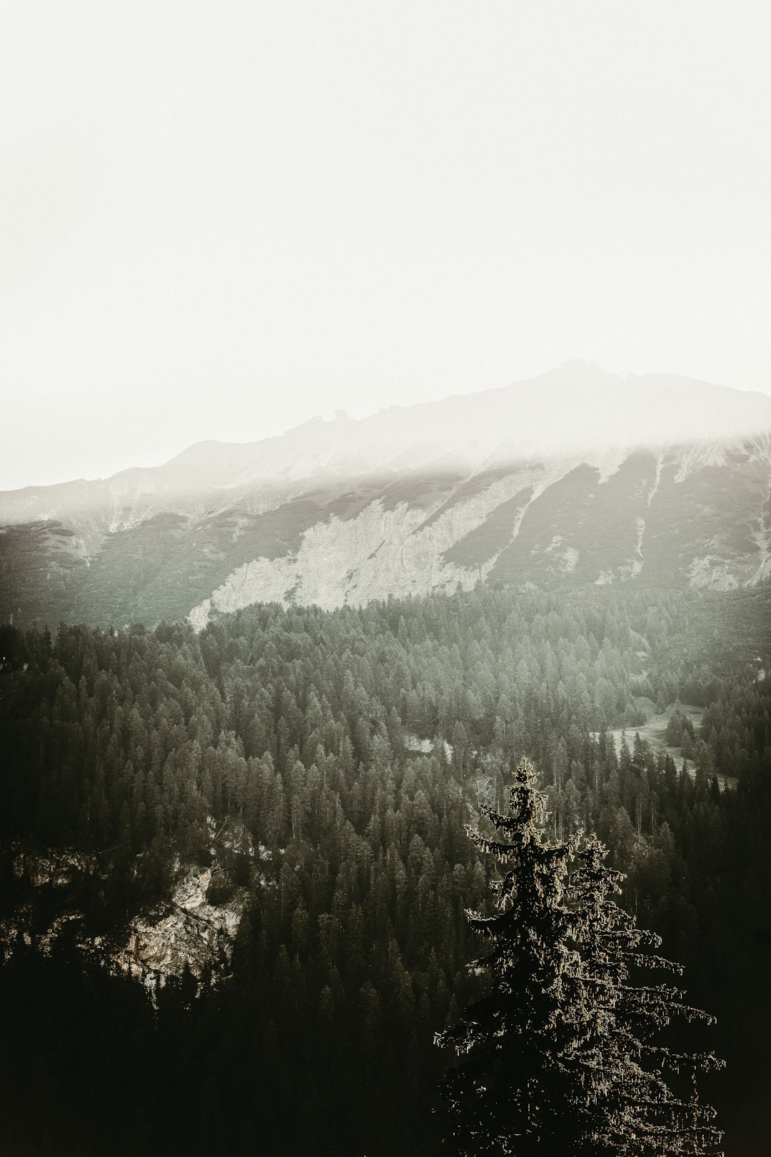 Hill photo spot Armentarawiesen Passo Falzarego