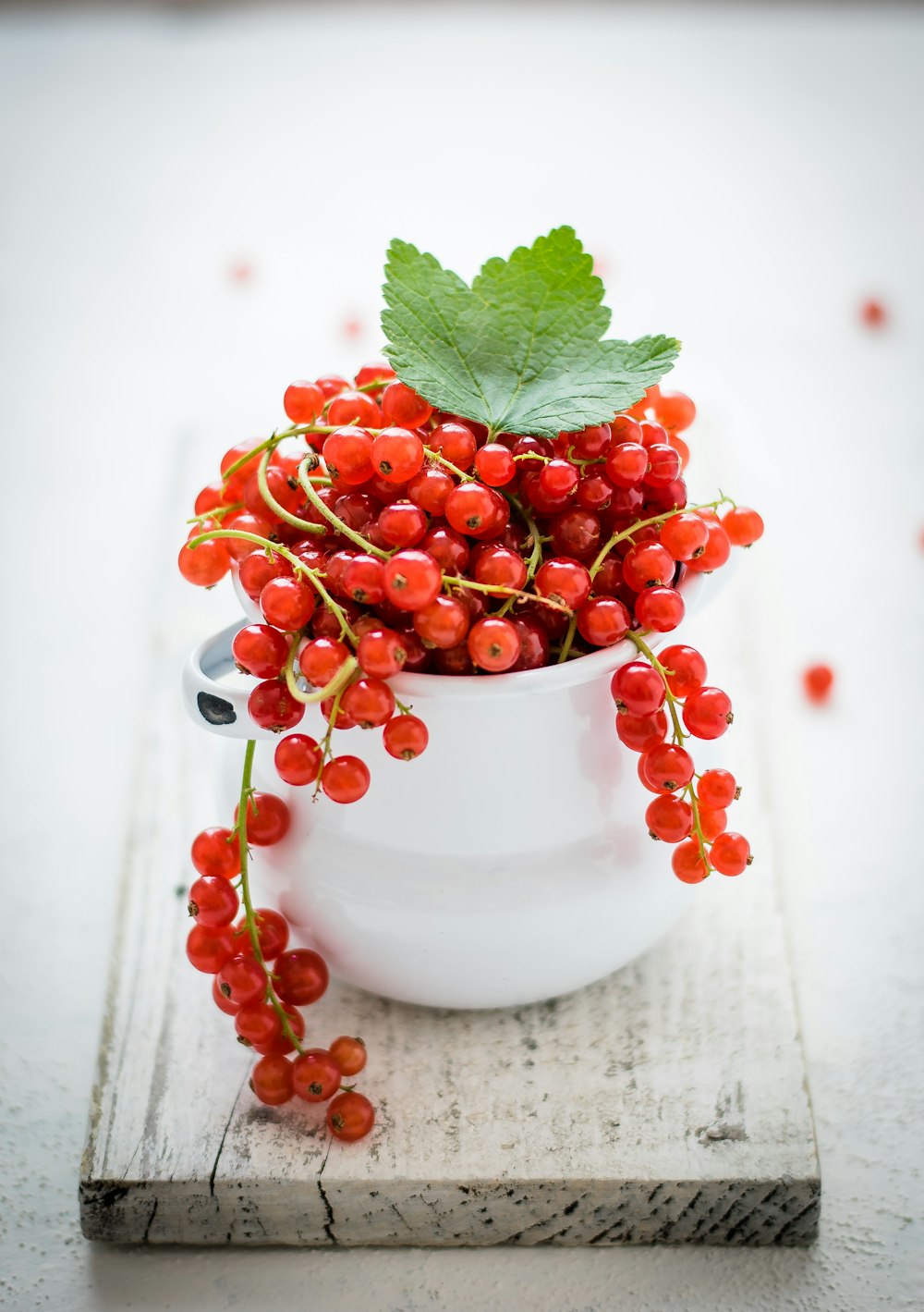 white ceramic bowl filled with red fruits