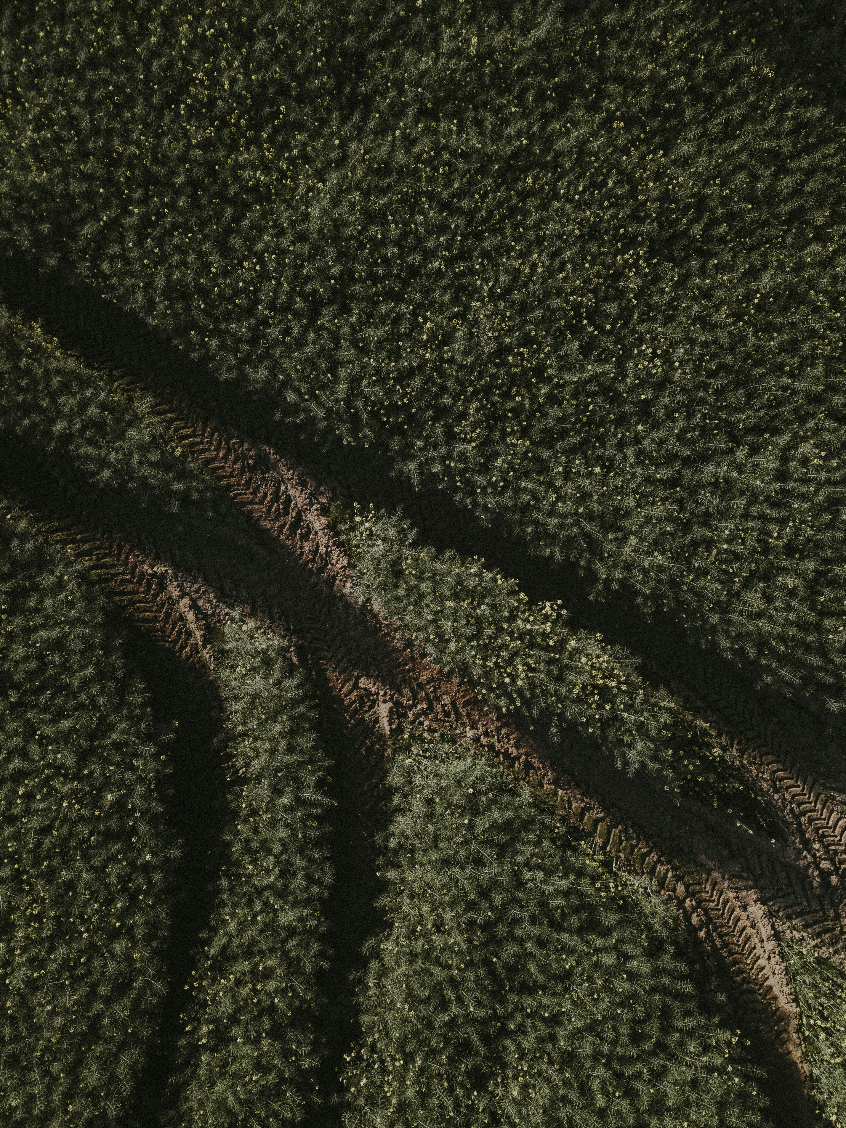 Photo by anniespratt