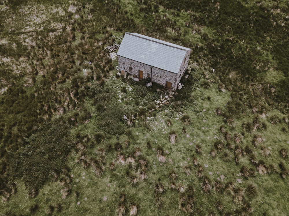 bird's eye view of house