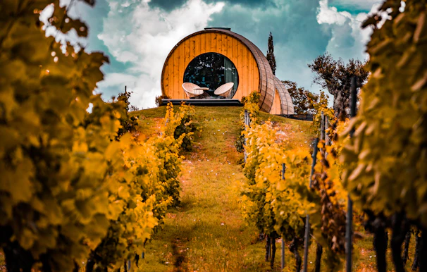 A rustic tasting room with wooden barrels and a view of Napa’s volcanic peaks.