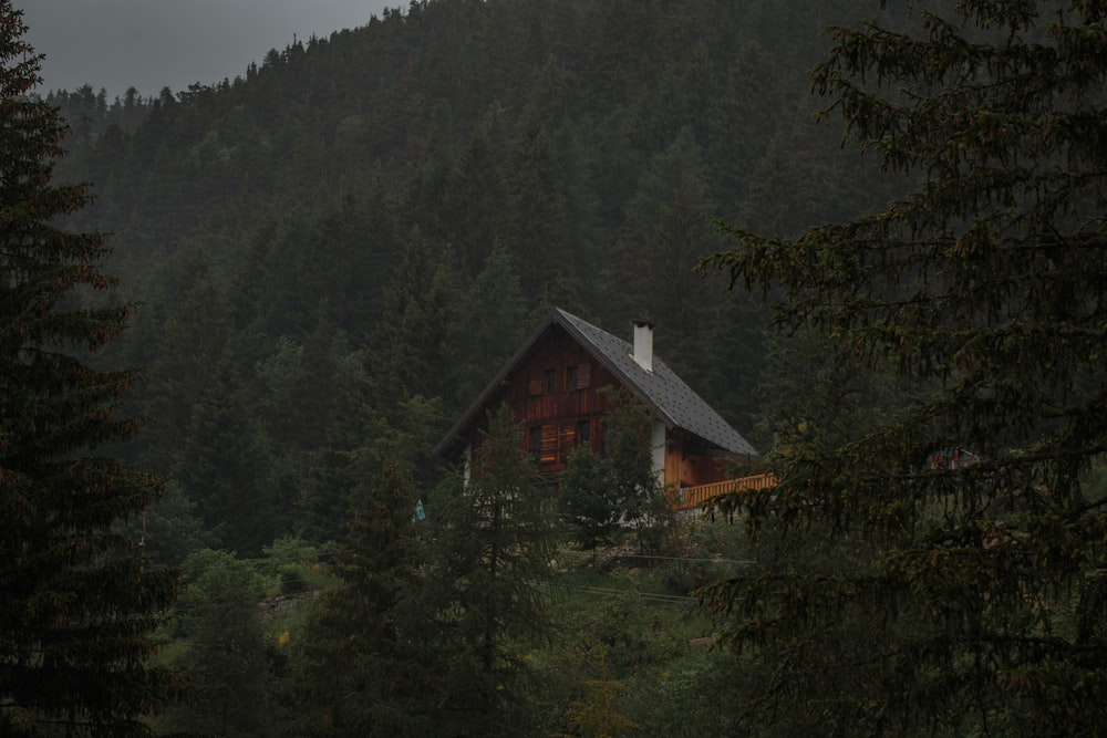 Maison en bois marron entourée d’arbres