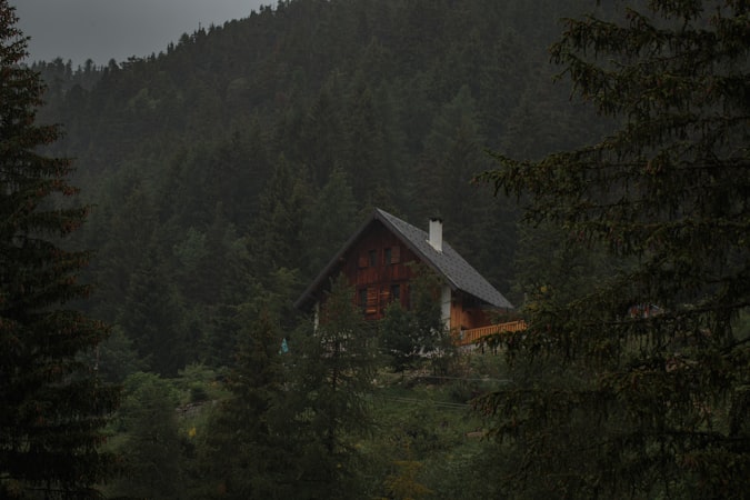 Cabane en bois entourée d'arbres