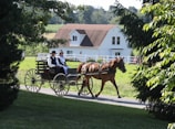 man and woman riding horse carriage