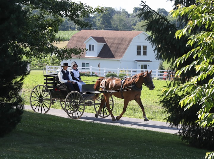 Finance Refresher Lessons From the Book “Money Secrets of the Amish”