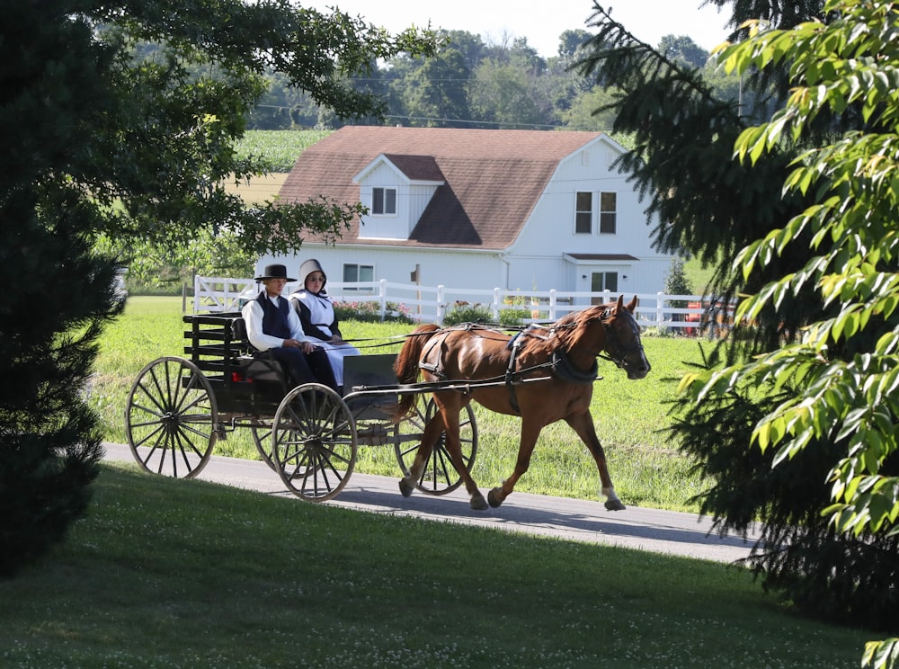 man and woman riding horse carriage