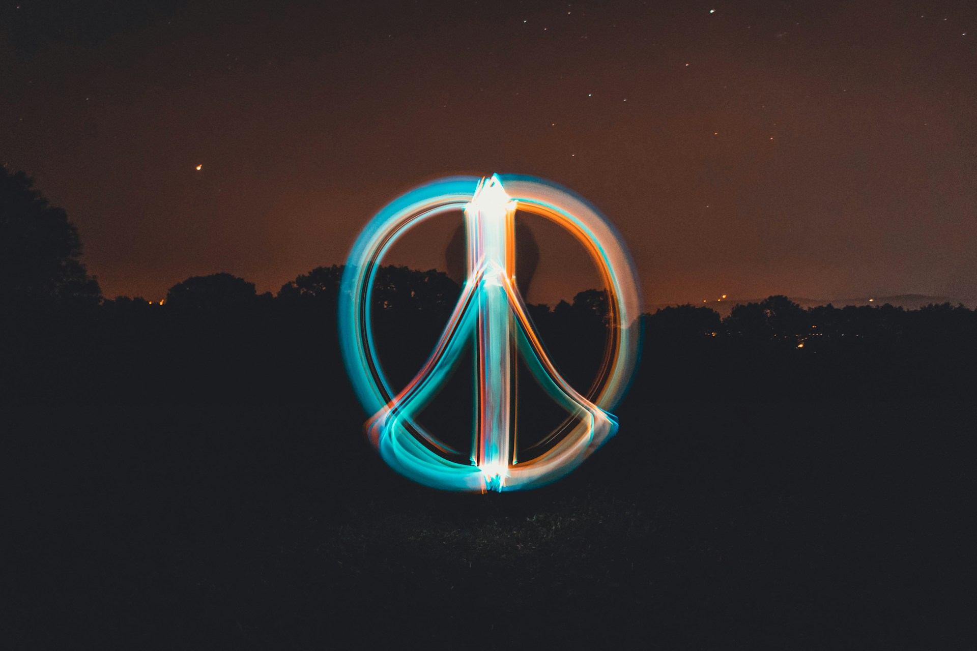 long exposure photography of trees