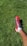 Close-up of a soccer player wearing Ahmede LLC cleats, mid-action on artificial turf.