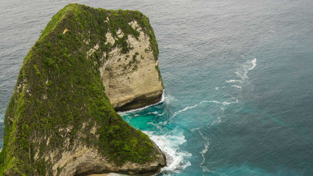 aerial photo of green dense island in calm body of water at daytime