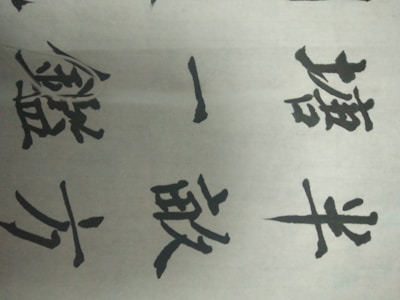 Close-up of traditional Chinese calligraphy penned by Lou Dawei