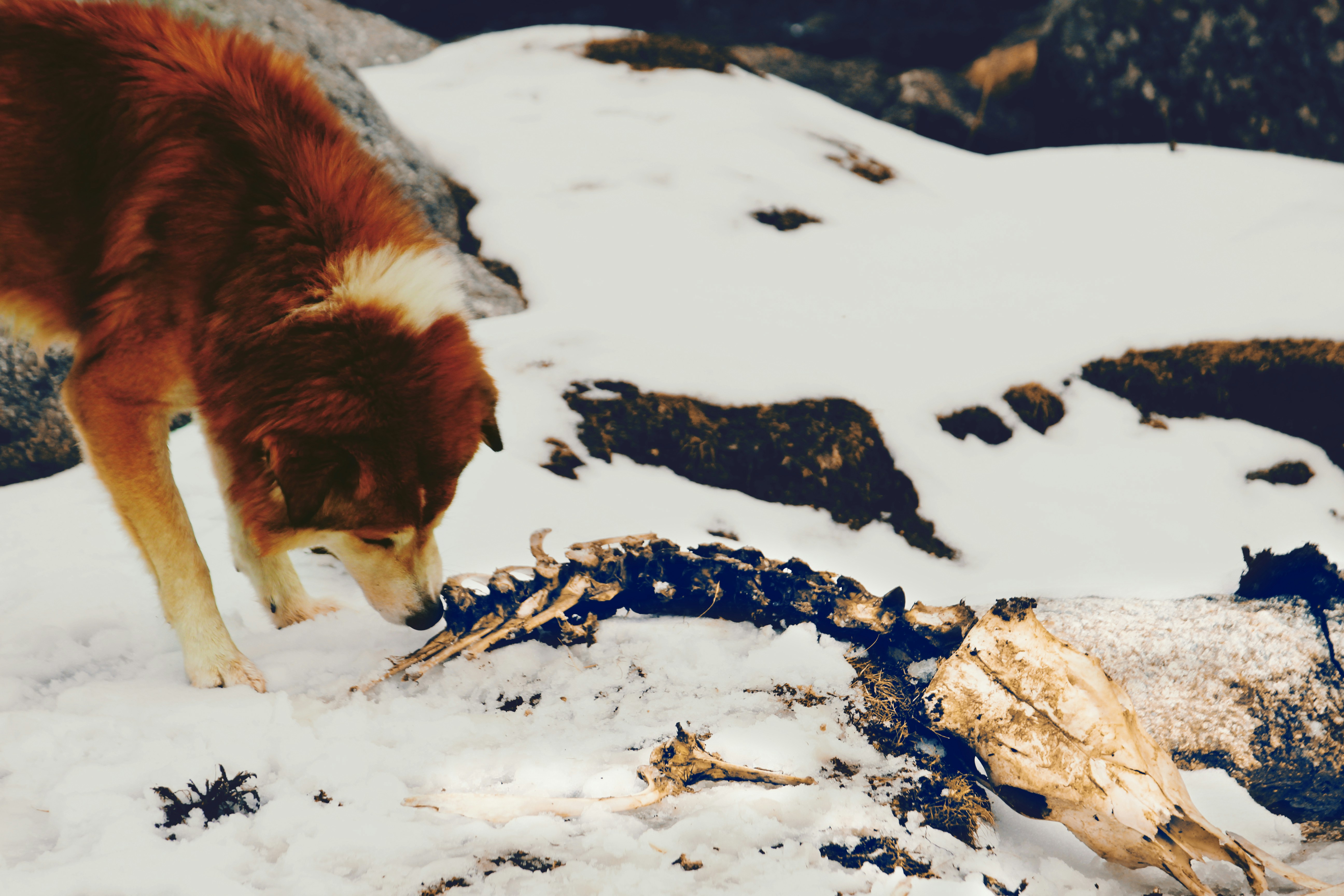 photo-1531064493152-2cd73bf5e7e5