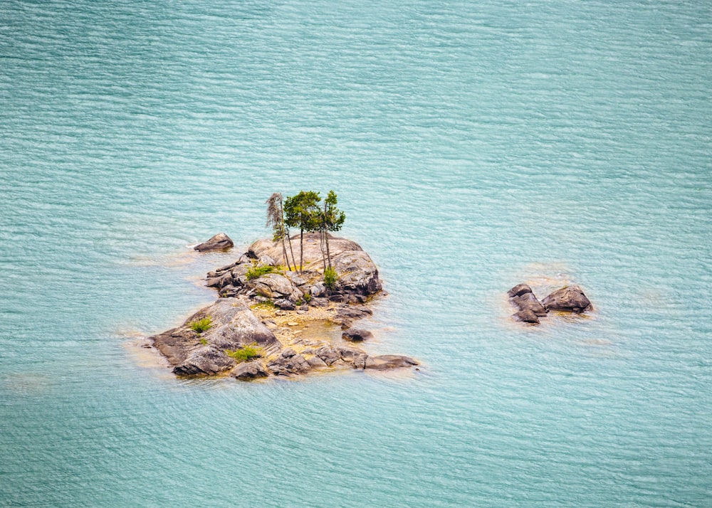 물 한가운데있는 작은 섬