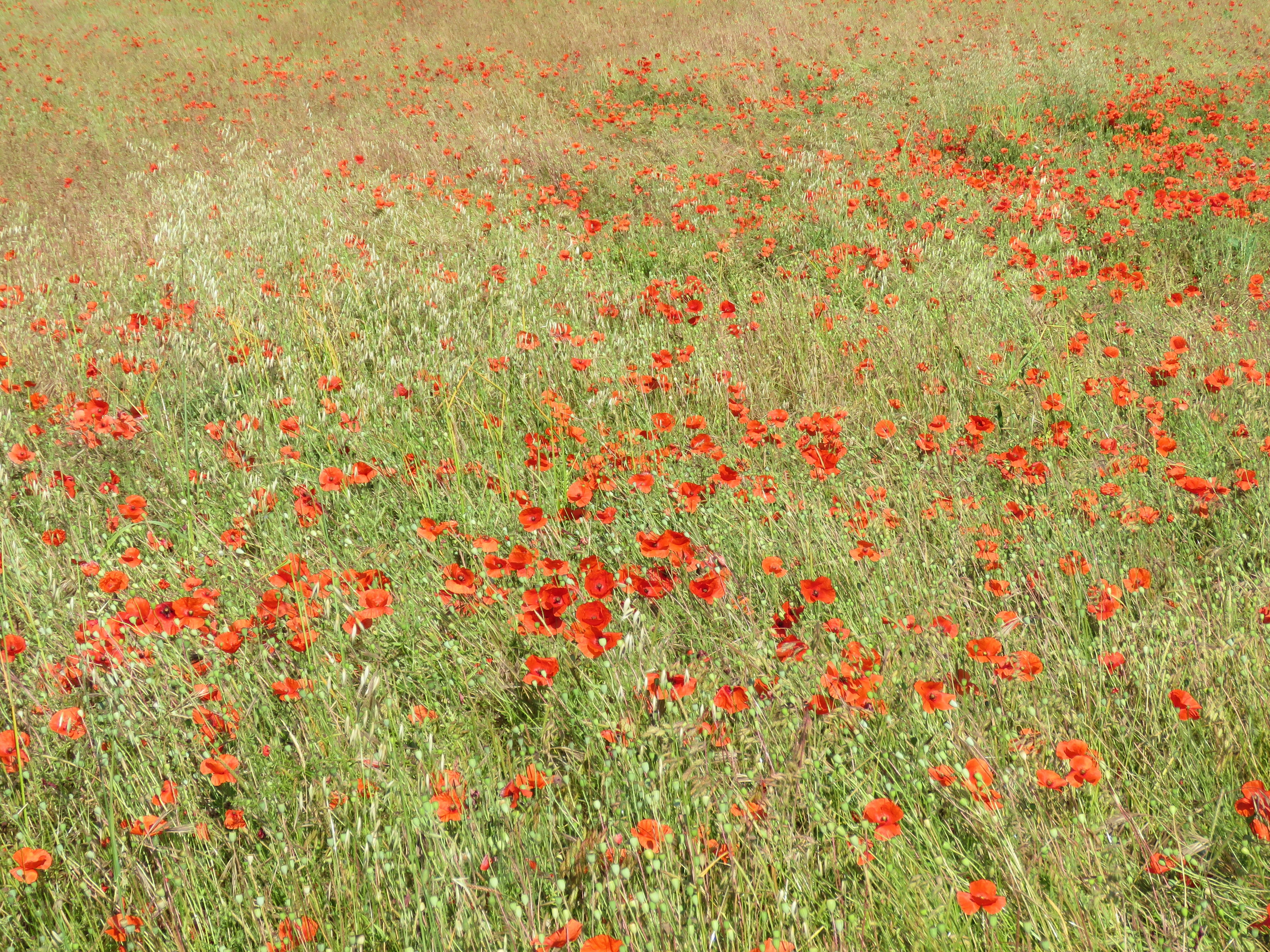 Agile pushing the limits of productivity.