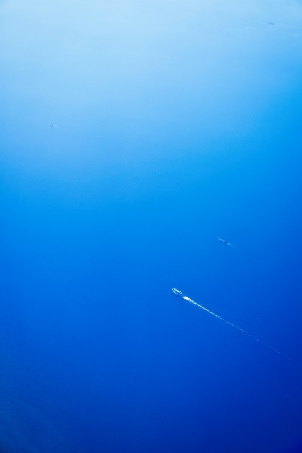 Un aereo vola nel cielo blu