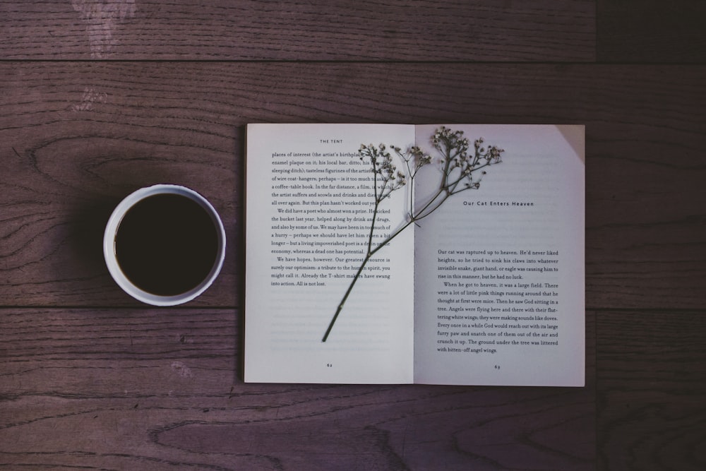 white book on wood