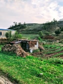 A rural landscape features a small, rustic shack built from a mix of materials, situated amidst a green, fertile farming area with hills in the background. Some agricultural plots are visible, bordered by greenery and a few scattered trees. The sky is partly cloudy, suggesting a peaceful rural environment.