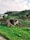 A rural landscape features a small, rustic shack built from a mix of materials, situated amidst a green, fertile farming area with hills in the background. Some agricultural plots are visible, bordered by greenery and a few scattered trees. The sky is partly cloudy, suggesting a peaceful rural environment.