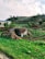 A rural landscape features a small, rustic shack built from a mix of materials, situated amidst a green, fertile farming area with hills in the background. Some agricultural plots are visible, bordered by greenery and a few scattered trees. The sky is partly cloudy, suggesting a peaceful rural environment.
