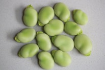 Several light green, smooth beans are scattered on a speckled white surface. The beans are mostly uniform in size and shape, with a few showing parts of a leafy outer shell.