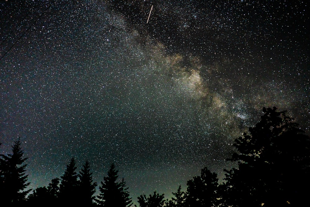 astrophotography of Milky Way dust lane