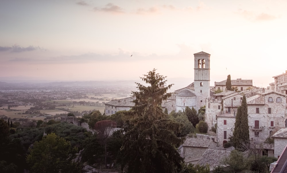 fotografia di paesaggio di edifici bianchi circondati da alberi