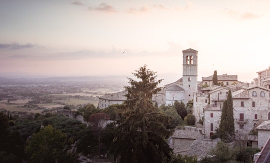 landscape photography of white buildings surrounded with trees in Assisi Italy