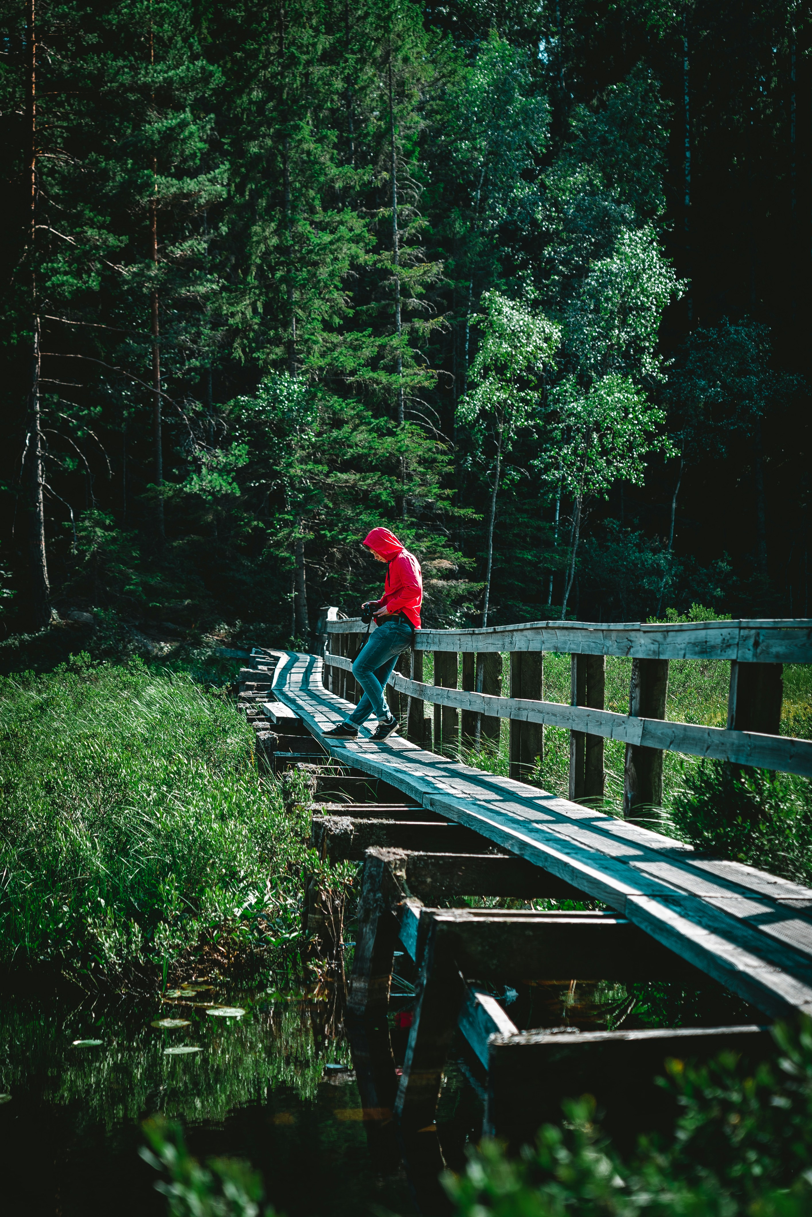 Photo by andreasdress