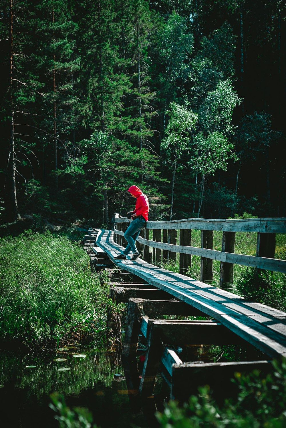 person standing on wooden bridge over body of water